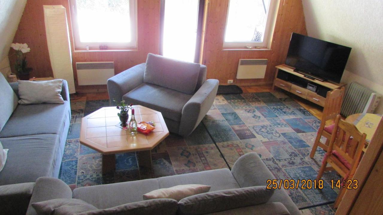Finnhaus Neubauer Elbingerode  Esterno foto