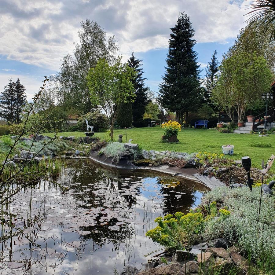 Finnhaus Neubauer Elbingerode  Esterno foto