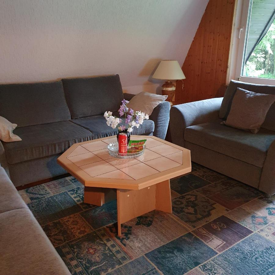Finnhaus Neubauer Elbingerode  Esterno foto